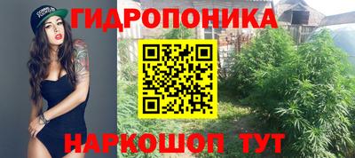 шишки Азнакаево