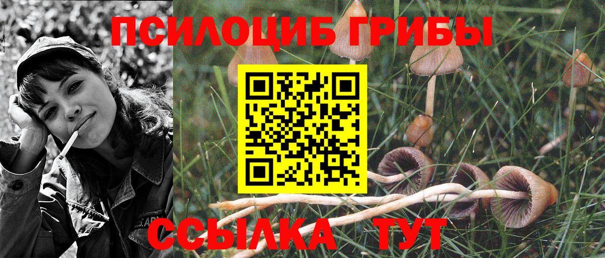 Псилоцибиновые грибы MAGIC MUSHROOMS  Вход с VPN  Галлюциногенные грибы Magic Shrooms  Алушта 